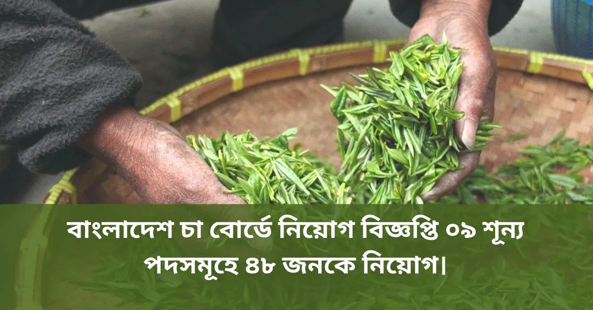 BD Job in Bangladesh। বাংলাদেশ চা বোর্ডে নিয়োগ বিজ্ঞপ্তি।