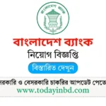 New Bangladesh Bank Circular 2025। বাংলাদেশ ব্যাংক নিয়োগ পদ ২৩৩ টি।